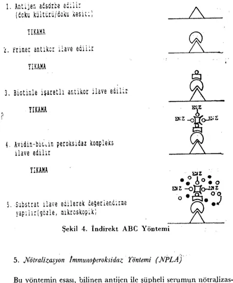 Şekil 4. İndirekt ABC Yöntemi