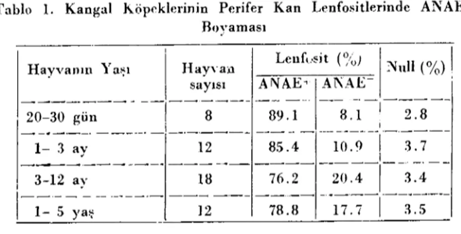 Tablo ı. Kangal Köpeklerinin Perifer Kan Lenfositlerinde AN&#34;AE