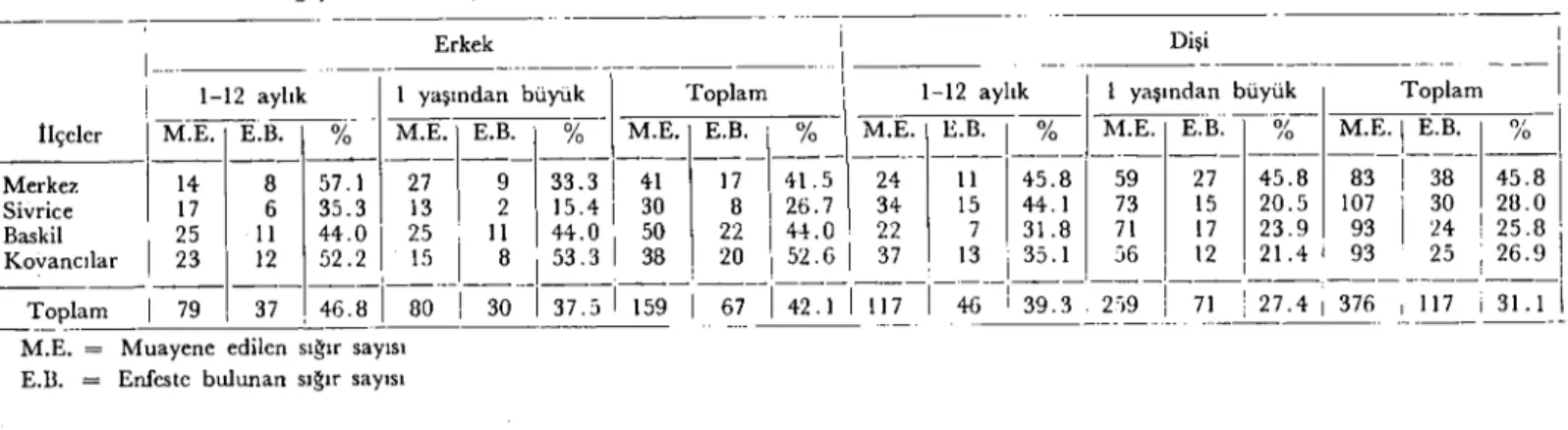 Tablo 4. Elazığ yöresindc muaycne edilen ve enfeste bulunan erkek ve dişi sığırların yaş gruplarına göre dağılımı
