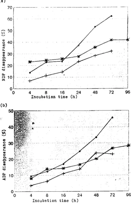 Fig. 3. The percentage disappearance of lentil by-products from nylon bags incubated in the rumen (observed values) for neutral detergent fibre (a), acid detergentfibre (b) -o- :feed grade lentil, *: good quality lentil bran, + : poor quality lentil bran Ş