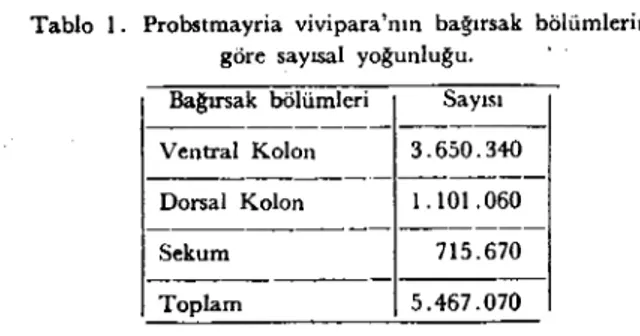 Tablo i. Probstmayria yiyipara'nın bağırsak bölümlerine göre sayısal yoğunluğu.
