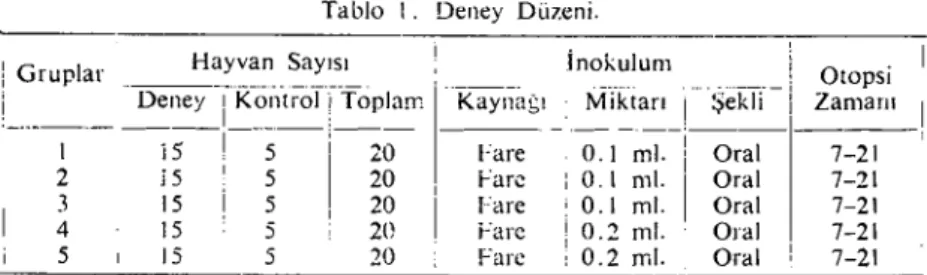 Tablo 1. Deney Düzeni. ! Gruplar Hayvan Sayısı