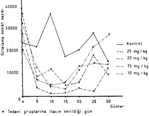 Şekil ı. Kuzularda, Farklı d07.larda ilaçlamadan önce ve sonra gram dışkıda bulunan ortalama ook.ist sayılan