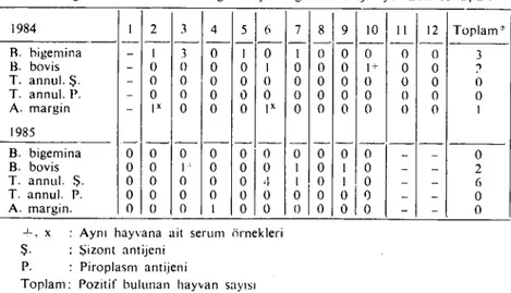 Tablo 3. Şubat 1934 ilc Ekim i985 tarihleri arasında muayene edilen 2 yaş üıerirıdeki 69 sığıra ait 238 serum örneğinin aylara göre seroioiik yokiama sonuçları