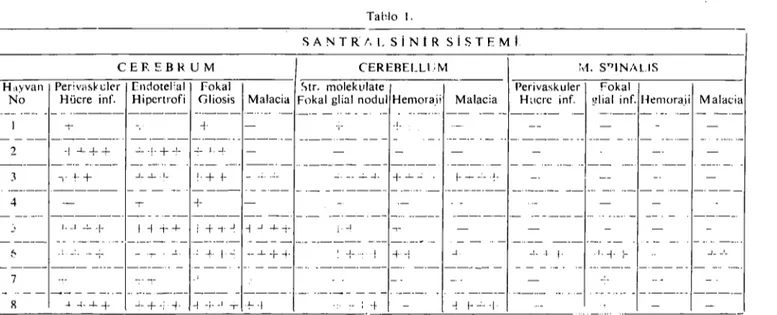 Tablo I. S ANT R i, L S i N i R S i SO T E M j CERERELLI;M ...J __ ,_ 1.-1- :-Fokal