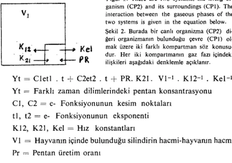 Figur 2. There are two systems, the Iiving or- or-ganism (CP2) and its surroundings (CPI)
