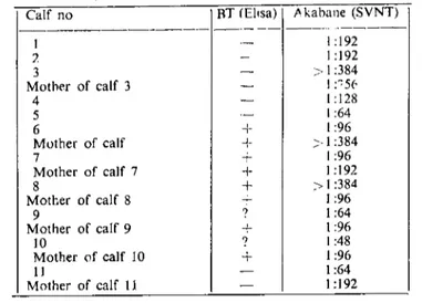 Table 2. Results of ELI SA test and SVNT carried out on blood sera of calves for BT and Akabane viruses