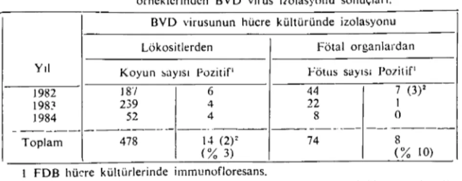 Tablo 2. Abort yapan koyunların lökositleri ile abort olmuş fötusların organ örneklerinden BVO virus iıolasyonu sonuçları.