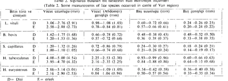 Tablo 2. Sığırlarda bulunan bit türlerinin bazı morfolojik ölçümleri (Table 2. Some measureıııents of lice species occurred in caııle of Yan region) Bitin türü ve '---Vücuı uzunluğu (mın)' i'--Vücul-(Abdoınen) Baş uLUnluğu --(mın) 