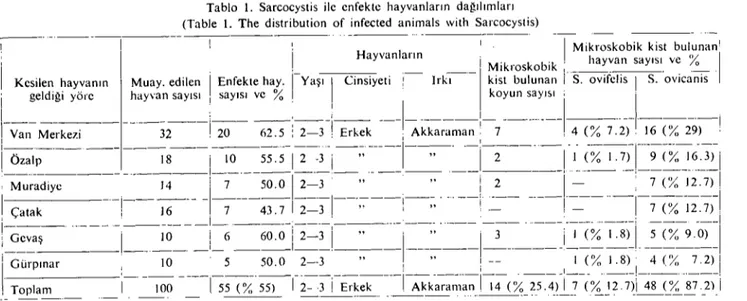 Tablo ı. Sarcocystis ile enfekte hayvanların da~ılımları (Table ı. The distribution of infected animals &#34;,ith Sarcocystis)