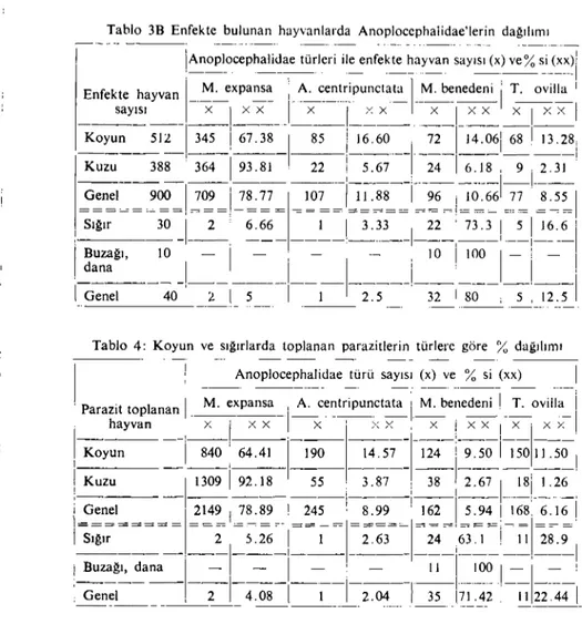 Tablo 3B Enfekte bulunan hayvanlarda Anoplocephalidae'lerin dagılınıı