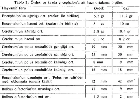 Tablo 2: Ördek ve kazda cncephalon'a ait bazı ortalama ölçüler.