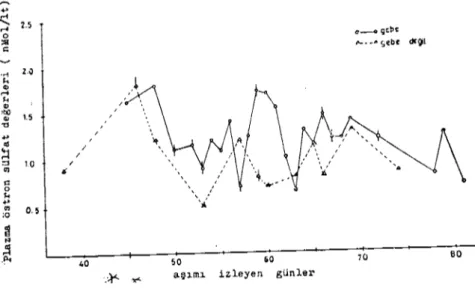 Grafik ı: Gebe ve gebe olmayan koyunlarda plazma östron sülfat seviyeleri.