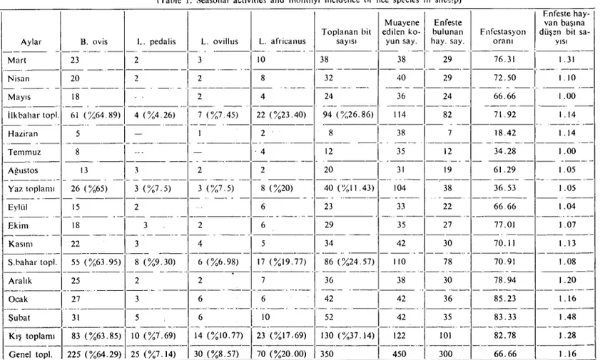 Tablo I. Van yöresi koyunlarında bulunan bit türlerinin aylara göre dağılımları v;: mevsİmsel aktiviteleri (Table I
