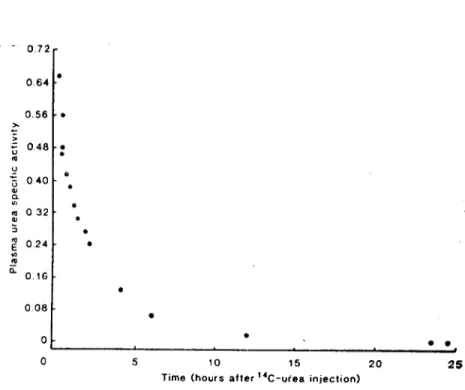 Fig. ı. Typical coınputer fiUcd curve of the dediııe in specificity of plasına urca with time afıcr &#34;C-uı'ea injecıioıı