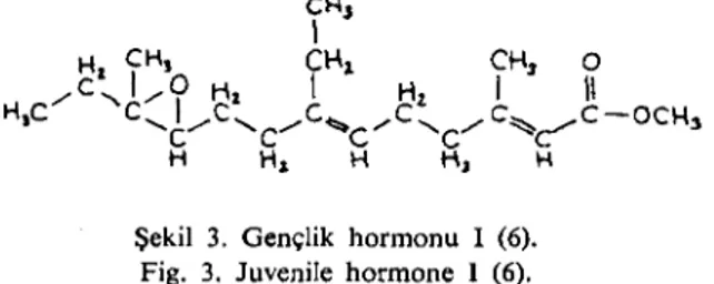 Şekil 3. Gençlik hormon u i (6). Fig. 3. Juvenile hormone ı (6).