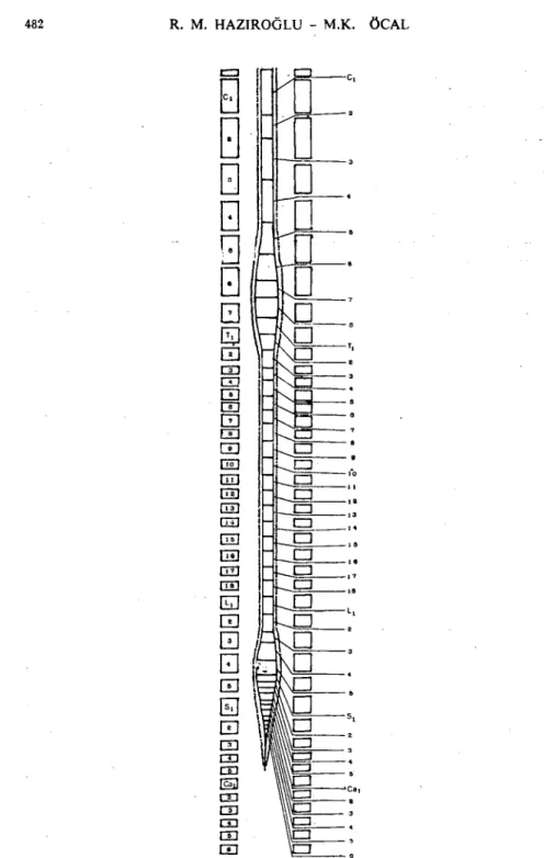 Şekil 2 Medulla spinalis segmentlerinin vertebralara göre konumunu gösteren şematik resim ''Fig ,2.Schematic figure of the