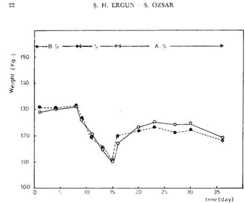 Figure 2. Effeet of stal'yation and refecding on budy ıı'cight at diffcrenı energy rations
