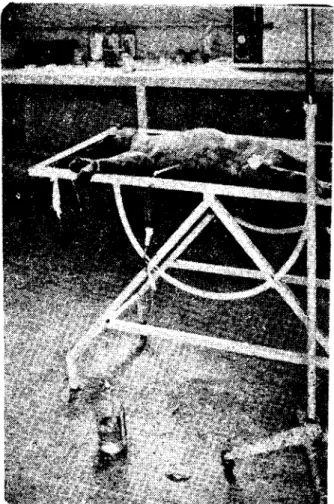 Fig. ı. The pasilion of Dog 3 during the peritoncal dialysis.