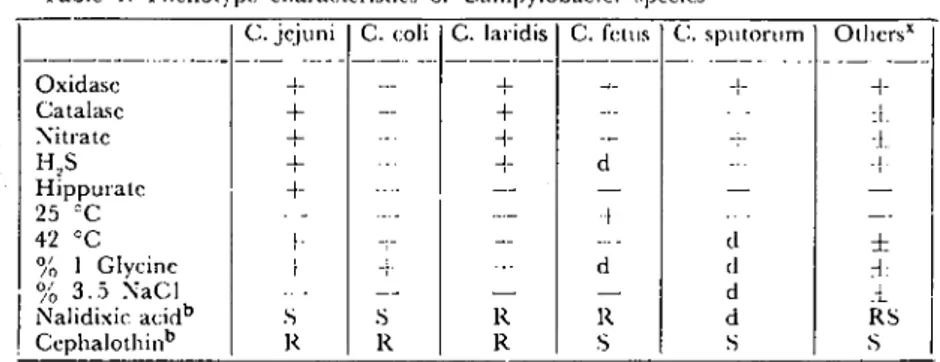 Table io Plıenotype charaeteristics of Campylobaeter species&#34;