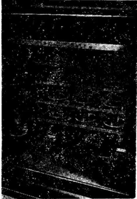 Fig. 2. The anacrobic jar.