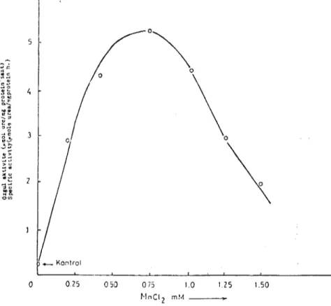 Şekil - 4 Arginaz aktivitesinin MnCI. miktanna bağlı olarak değişimi Figure - 4 The variation of the arginase activity depending on the MnCl, concentration