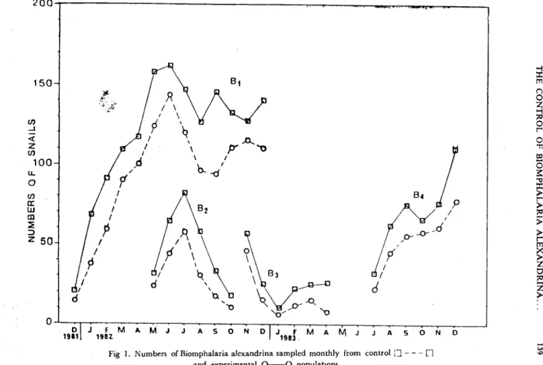 Fig ı. Numbers of Biomphalaria alexandrina sampled monthly from control lJ - - -- n