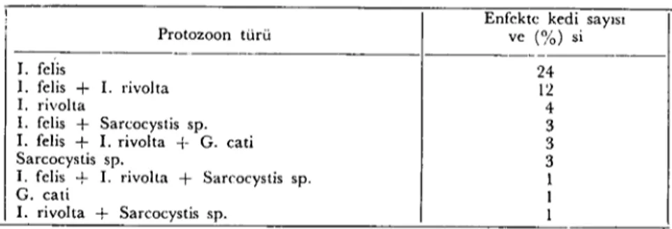 Tablo 3. Kedilerdeki protozoon türleri ve dağılışıarı