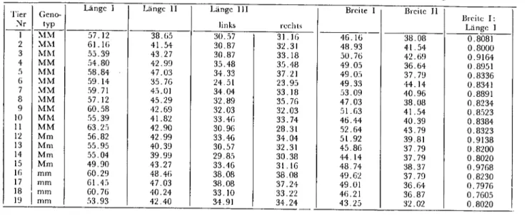 Tab. 1: Bdunde an Gclıirııen, Dorsalamichı: Morplıometrische Liingen-und Breitcnmcssungcn Lange i Langc ii Linge III Breiıe i Breiıc il