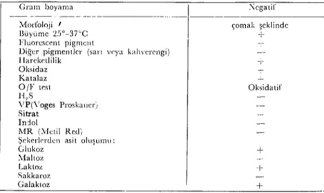 Şekil 3. )iekraıik karaciğer hücreleri ve hemarajik adaklar. H -;-E. X250. :'-iecratic hepatic eclIs and Iıaemarrhagic centers in the liver