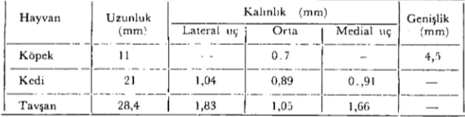 Tablo ı. Köpek, kedi ve tavşanın clavicula'sına ait ortalama veriler.