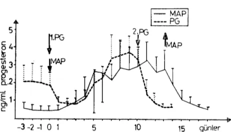 Grafik I. MAP ve PG uygulanan keçilerde kan serumundaki progesteron hormonu düzeyleri.