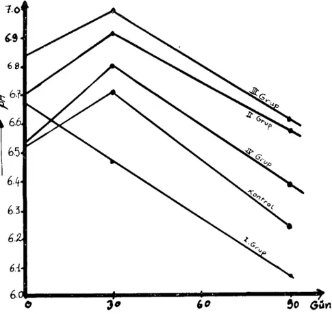 Şekil i. Deneme süresince Ruminal pH'daki değişmeleri gösteren grafik.