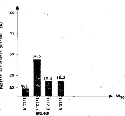 Grafik 6. BVD / MD virusuna karşı pozitif koyun serumlarının SN,. değer dağılımları.