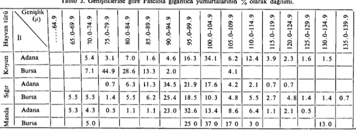 Tablo 3. Genişliklerine göre Fasciola gigantica yumurtalarının % olarak dagılımı. ':i ;z ~ cl\ cl\ cl\ cl\ cl\ cl\ cl\•..(fl)cl\cl\cl\cl\cl\cl\cl\cl\=3$cl\~cl\~cl\~cl\~cl\~cl\~cl\~cl\o--NNM Mc:\clr-r-0000~cl\~~i'~~~~~ol2,i2,2,2,2,&gt;11oo&gt;.ınoınoın~ının