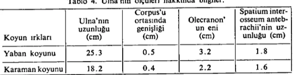 Tablo 4. Ulna'nın ölçüleri hakkında bilgiler.