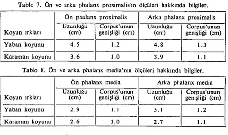 Tablo 6. Metatarsus'un ölçüleri hakkında bilgiler.