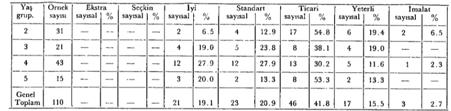 Tablo 4. Yaş gruplarına göre Yerlikara Sığır ırkı Karkaslarının derecelerin;n sayısal ve % dağılımları.