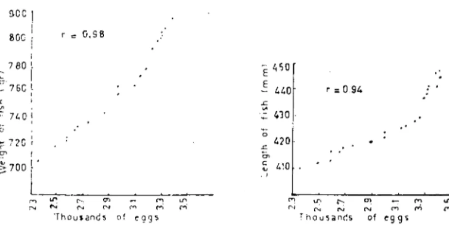 Fig. I. Mean number of eggs and weight of 3 yrs old rainbow trout. Fig.2. Mean number of eggs and lcngth of 3 yrs old rainbow trouı
