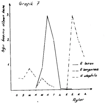 Grafik 1 ~ , \ , \ , \ i i i i i \ \ _ il bvrç<J , __ Q $IDn~/lIS{S i __ /loIDpI";o i , o ~M"M"TA EE.IlA l1y/dr