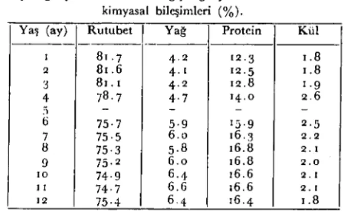 Şekil ı 'de izleneceği gibi numunelerin gelişmeleri sırasında