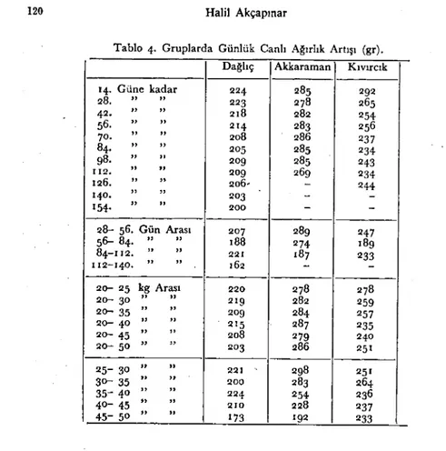 Tablo 4. Gruplarda Günlük Canlı Ağırlık Artışı (gr). Dağlıç Akkaraman Kıvırcık 14. Güne kadar 224 285 292 28