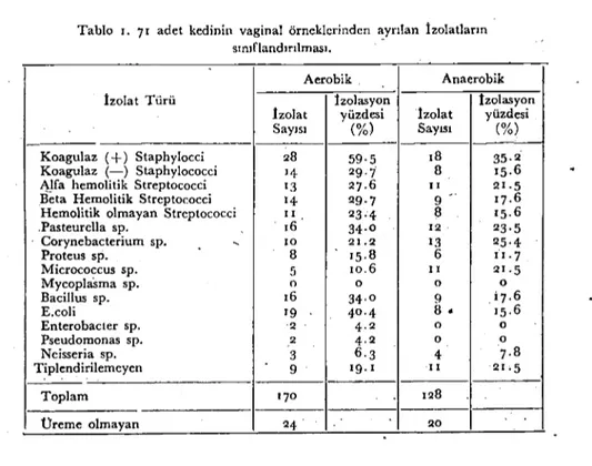 Tablo i. 7 i adet kedinin vaginal örneklerinden ayrılan İzolatların