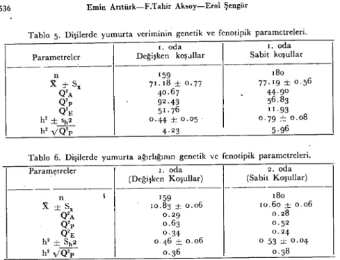 Tablo 7. Erkeklerde üçüncü ve altıncı lıaftalardaki canlı ağırlıklar arasında hesaplanan fe- fe-notipik, gencıik ve çevresel korrelasyonlar.