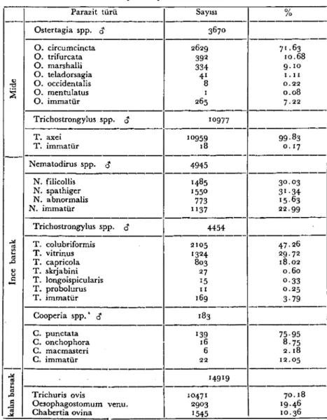 Çizelge LV. Otopsi sonucu 252 baş kuzudan elde edilen erkek parazidere göre böIge~zde saptanan parazit türleri