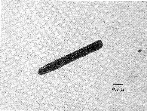 Şekil 3. Batırma Yöntemi ile hazırlanmı~ Buğday mozayık virusunun elektron mikroskop- mikroskop-ta görünüşü