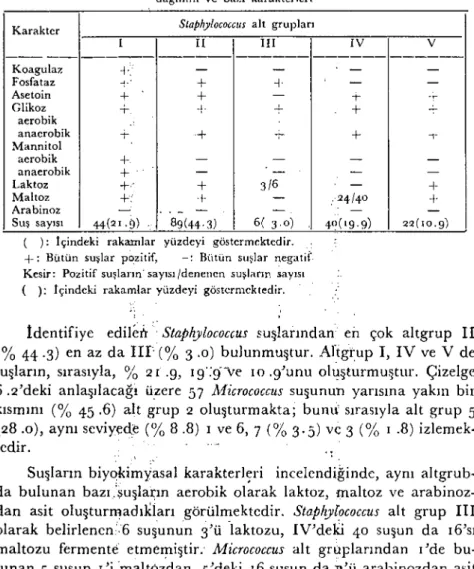 Çizelge iden de '~nlaşılcağı Üzere, incelenen 4° örneğin hepsinde Staphylococeus IMiemeotcus bulJnmuştur