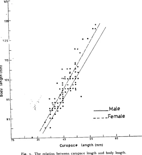 Fig. 3. The relatian between carapace length and body length.