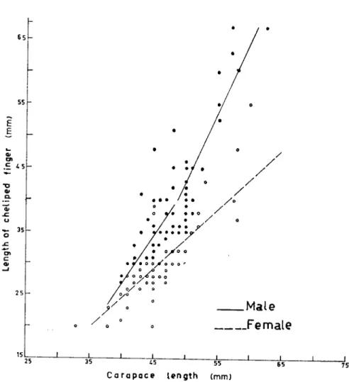 Fig. 5. The re1aıion belween earapaee length and propodus length (chela).