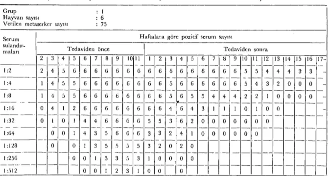 Tablo i: Deneyselolarak F. hepatica ilc enfekte edilen Koyunlarda immunofloresan (estinin sonuyları.